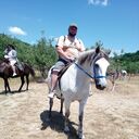  deleted,   Alexander, 41 ,   ,   