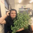  ,   A, 33 ,   ,   , c , 