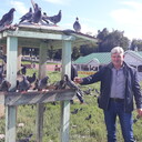 ,   , 59 ,     , c 