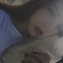 ���������� ������, ���� ������� ����, 29 ���, ������������ ��� ������, ����� � ���������, c�������� ���������, ���������