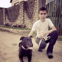  ,   , 29 ,   c , 