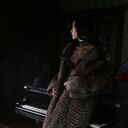 ���������� �����-���������, ���� ������� ���, 33 ����, ������������ ��� ����� � ���������, c�������� ���������