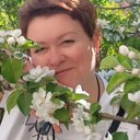  -,   , 52 ,   ,   , c 