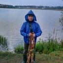  ,   , 41 ,  