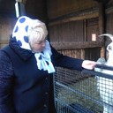   ,   , 63 ,   ,   , c 