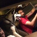 ���������� ��������, ���� ������� Ed, 38 ���, ������������ ��� ������, ����� � ���������