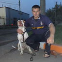 ���������� �������, ���� ������� ����, 38 ���, ������������ ��� ������, ����� � ���������, c�������� ���������