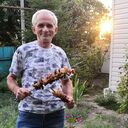  ,   , 60 ,   c 