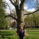 ���������� ������, ���� ������� ����, 40 ���, ������������ ��� ������, ����� � ���������, c�������� ���������