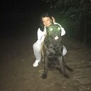 ���������� ������, ���� ������� �����, 47 ���, ������������ ��� ������, ����� � ���������, c�������� ���������