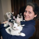  ,   , 38 ,   ,   , c 