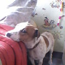 ���������� ������, ���� ������� ����, 58 ���, ������������ ��� ����� � ���������, c�������� ���������