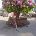 ���������� ������, ���� ������� �����, 44 ����, ������������ ��� ����� � ���������, c�������� ���������