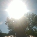 ���������� �����, ���� ������� AleX, 53 ����, ������������ ��� ������, ����� � ���������, c�������� ���������