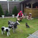 ���������� �����, ���� ������� �����, 43 ����, ������������ ��� ������, ����� � ���������, c�������� ���������