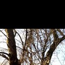 ���������� ��������, ���� ������� Vasya, 37 ���, ������������ ��� ����� � ���������, c�������� ���������