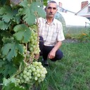  ,   , 74 ,   c 