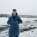 ���������� ��������, ���� ����� Stray, 19 ���, ������������ ��� ������, ����� � ���������