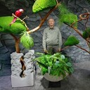 ���������� �����, ���� ������� ���������, 46 ���, ������������ ��� ����� � ���������