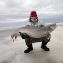 ���������� ���������, ���� ������� ����, 39 ���, ������������ ��� ������, ����� � ���������