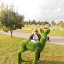 ���������� ������ ��������, ���� ������� �����, 45 ���, ������������ ��� ����� � ���������, c�������� ���������