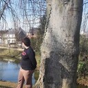  Sint-Truiden,   , 26 ,   c , 