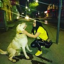 ���������� �������, ���� ������� ������, 33 ����, ������������ ��� ������, ����� � ���������