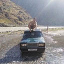 ���������� �������, ���� ������� ������, 34 ����, ������������ ��� ������, ����� � ���������, c�������� ���������