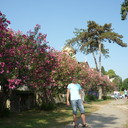 ���������� ������, ���� ������� ������, 48 ���, ������������ ��� ����� � ���������, c�������� ���������