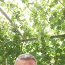 ���������� �����, ���� ������� �����, 48 ���, ������������ 