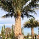 ���������� ���������, ���� ������� ������, 55 ���, ������������ 