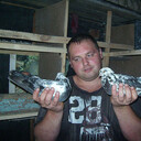 ���������� ���������, ���� ������� ���������, 43 ����, ������������ ��� ������, c�������� ���������