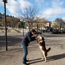 ���������� �������, ���� ������� Monterey, 42 ����, ������������ ��� ������, ����� � ���������, c�������� ���������