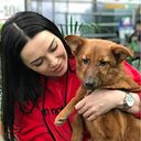 Bodenheim,   , 34 ,     , c 