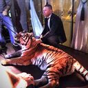 ���������� ������, ���� ������� Souls, 39 ���, ������������ ��� ������, ����� � ���������