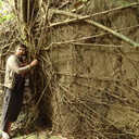 ���������� �����-���������, ���� ������� �������, 40 ���, ������������ ��� ������, ����� � ���������, c�������� ���������