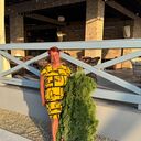  ,   , 59 ,   ,   , c , 