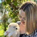 ���������� �����, ���� ������� �������, 29 ���, ������������ ��� ���������