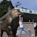 ���������� ����������, ���� ������� ���, 40 ���, ������������ ��� ������, ����� � ���������, c�������� ���������