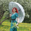 ���������� �����, ���� ������� ����, 43 ����, ������������ ��� c�������� ���������