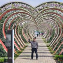  ,   , 57 ,   ,   