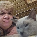 ���������� ������, ���� ������� Elvira, 95 ���, ������������ ��� ������, ����� � ���������