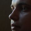  ,   Mr Smithi, 33 ,  