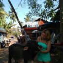 ���������� ���, ���� ������� �������, 44 ����, ������������ ��� ������, ����� � ���������