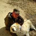 ���������� ���������, ���� ������� ������, 41 ���, ������������ 