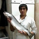 ���������� ��������, ���� ������� �������, 31 ���, ������������ ��� ������, ����� � ���������