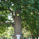 ���������� ���������, ���� ������� ���������, 55 ���, ������������ ��� ������, ����� � ���������