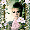 ���������� �����, ���� ������� ������, 43 ����, ������������ 