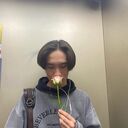  ,   Desen, 24 ,   , 
