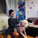 ���������� ������, ���� ������� ���������, 43 ����, ������������ ��� ������